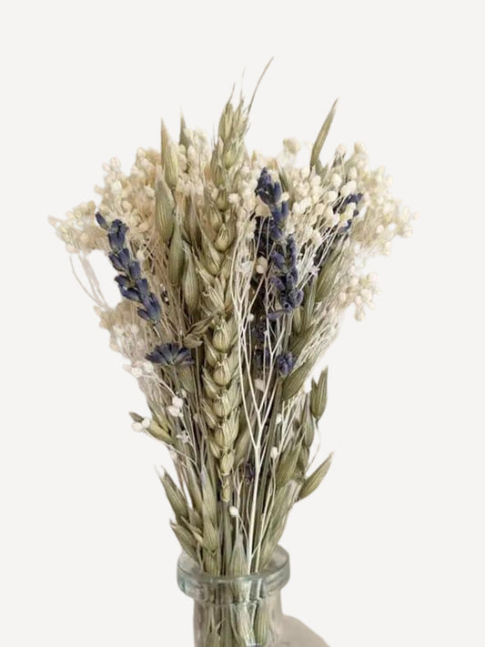 Masion Online - Dried Flowers - COLETTE - Small Bouquet of Natural Dried Flowers