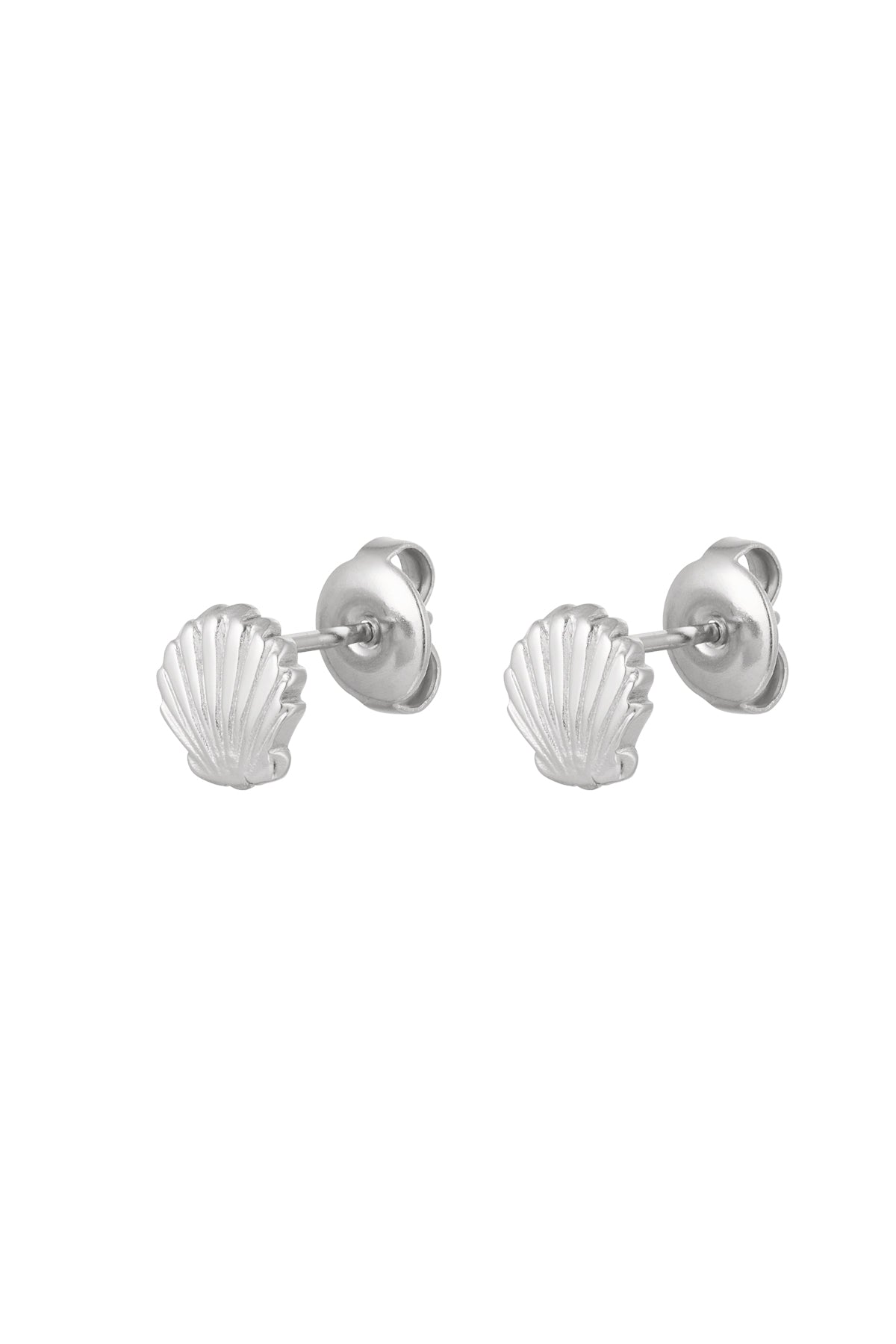 Ohrstecker Muschel