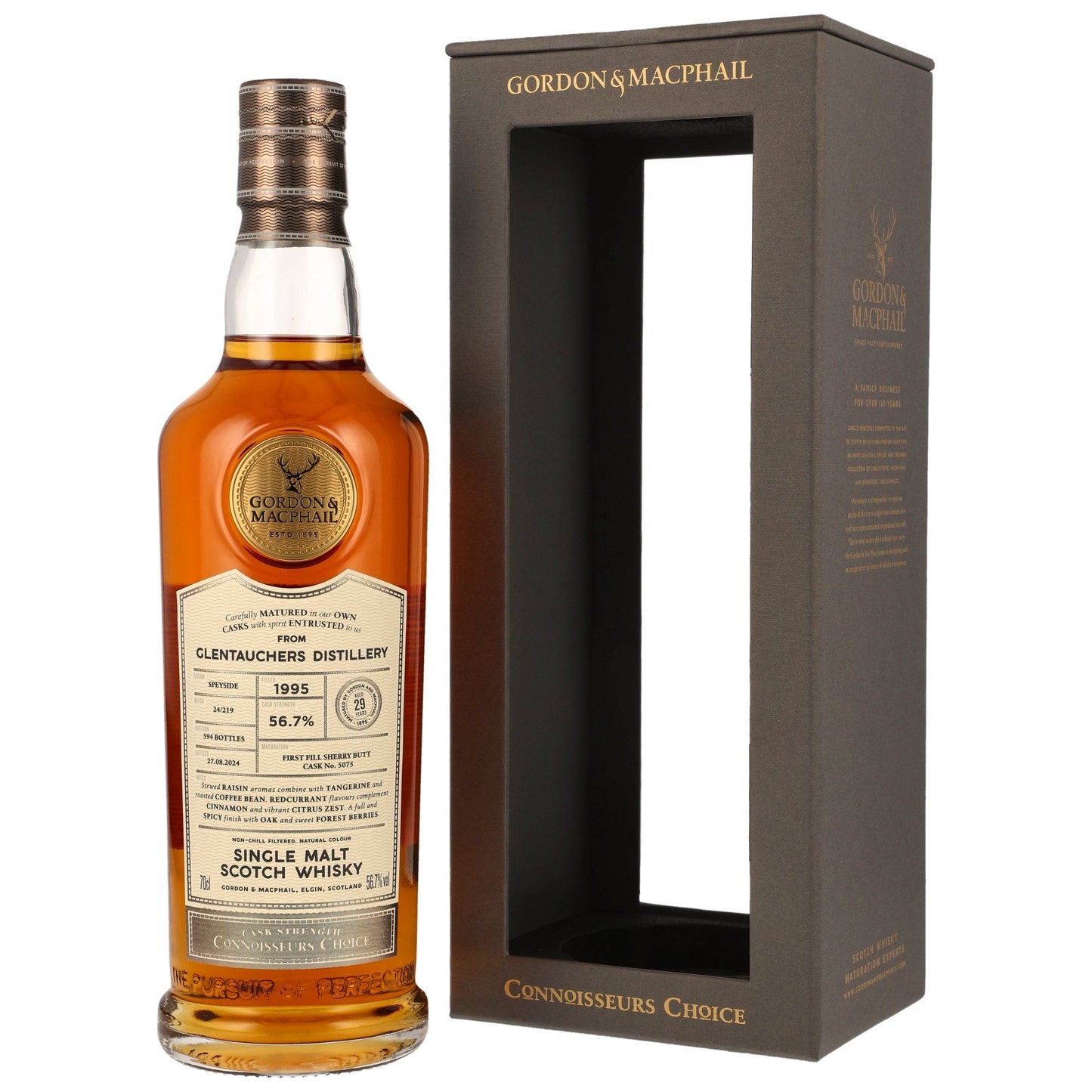 Glen Tauchers 29 1995/2024 - Gordon & MacPhail - Fyrsta fylling á sigurflaska #5057
