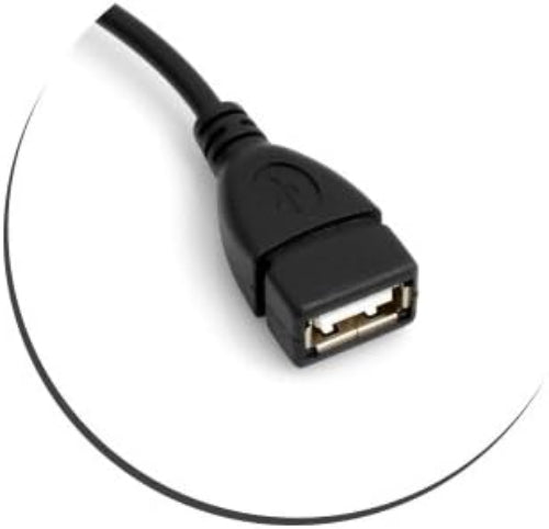 SYSTEM-S Mini USB (karlkyns) USB-On-The-Go hýsingarsnúra með uppáviðhengi í USB gerð A (kvenkyns) millistykki, 13,5 cm