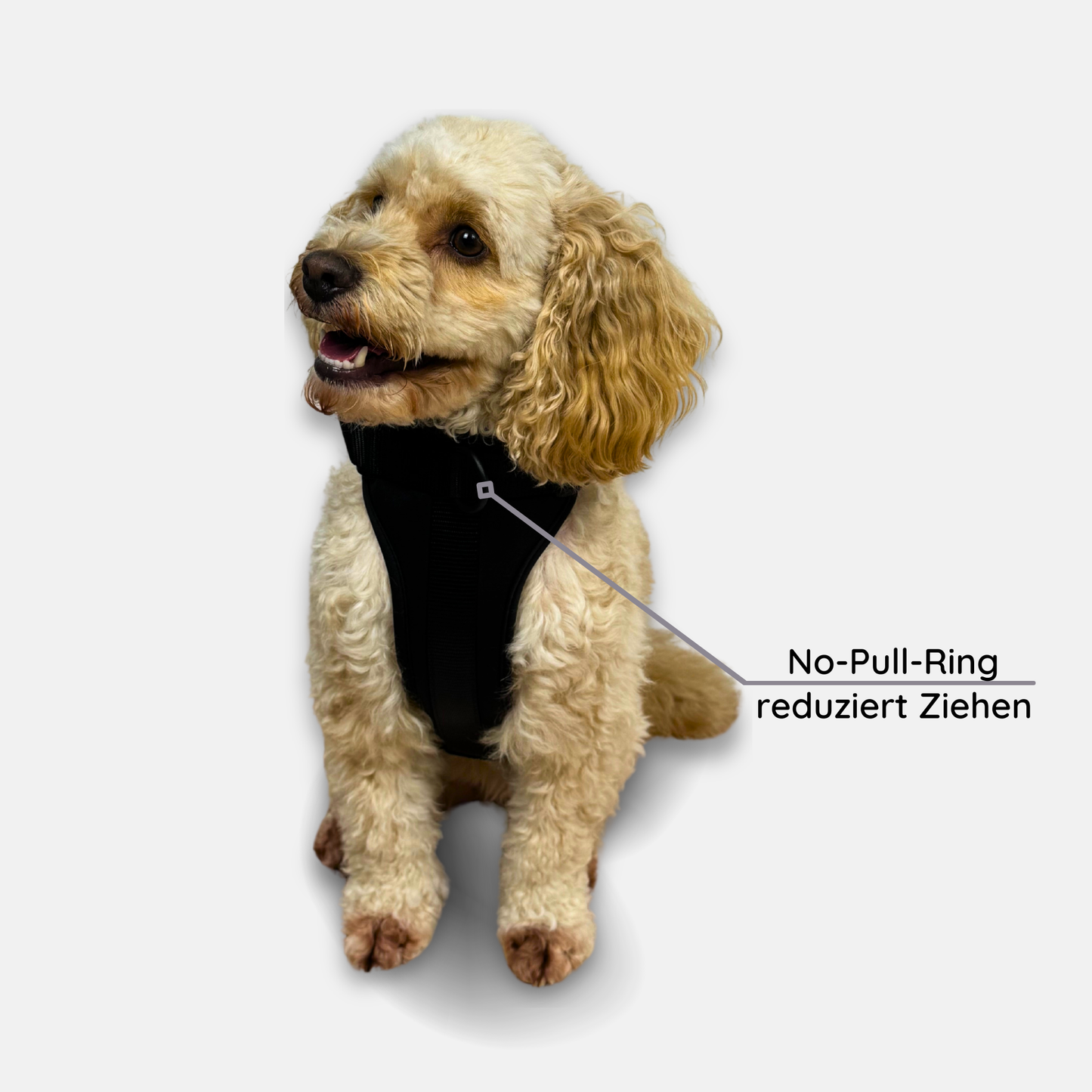 No-Pull Set Pura