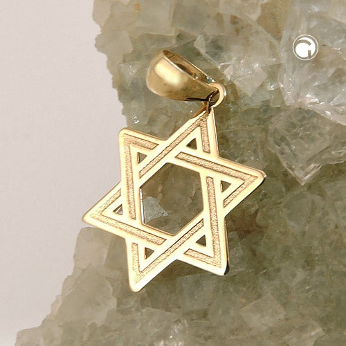 Pendant 11mm David Star shiny 9K GOLD