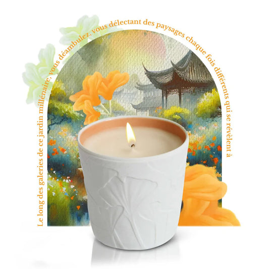 Osmanthe Liu Yuan, ilmkerti, Le Jardin Retrouvé