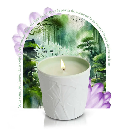 Mousse Arashiyama, ilmkerti, Le Jardin Retrouvé