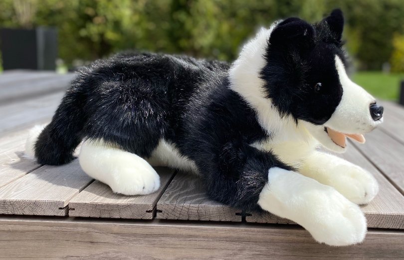 Plüsch Border Collie liegend ca. 60 cm