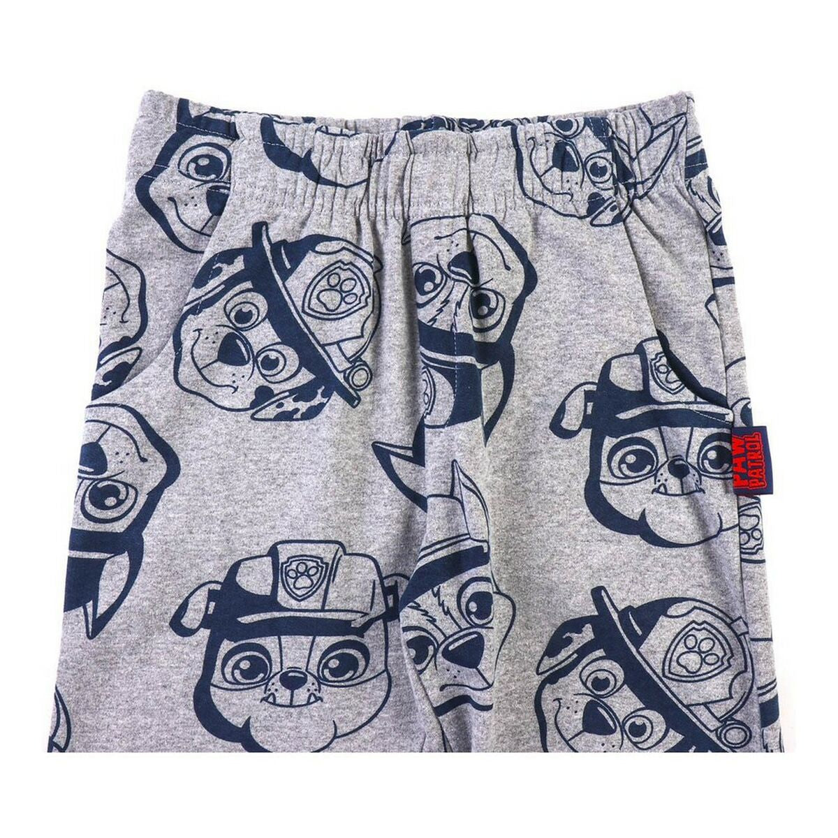 Paw Patrol Kinder-Trainingsanzug in Grau