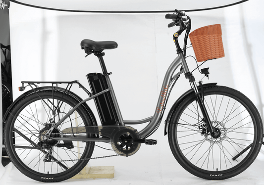 Damen City E-Bike „NE10“, 26′