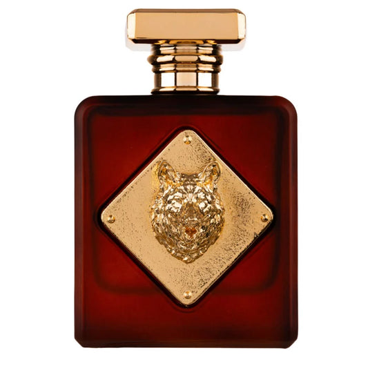 Fragrance World Alpha Eau de Parfum for Men 100ml