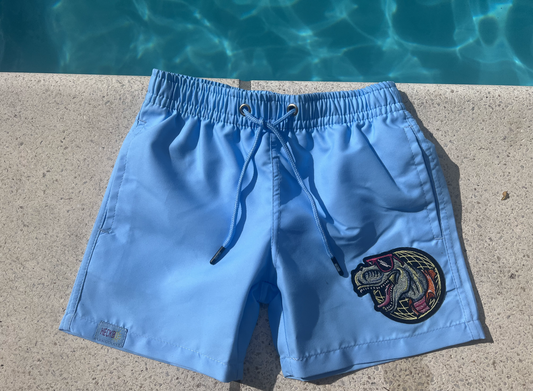 Magic Boys Dinosaur Swim Trunks