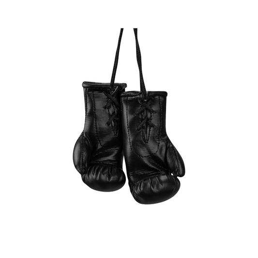 Mini Boxhandschuhe