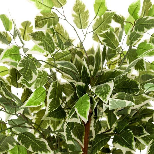 B-grade Hjh Office artificial plant, artificial tree, Ficus, plastic plant, green