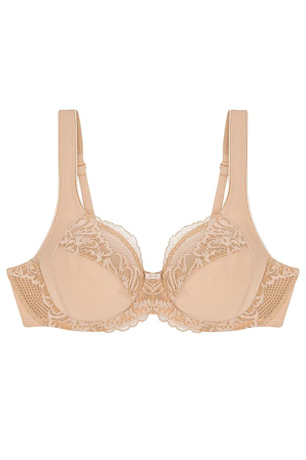 Soft model 229106 Triumph