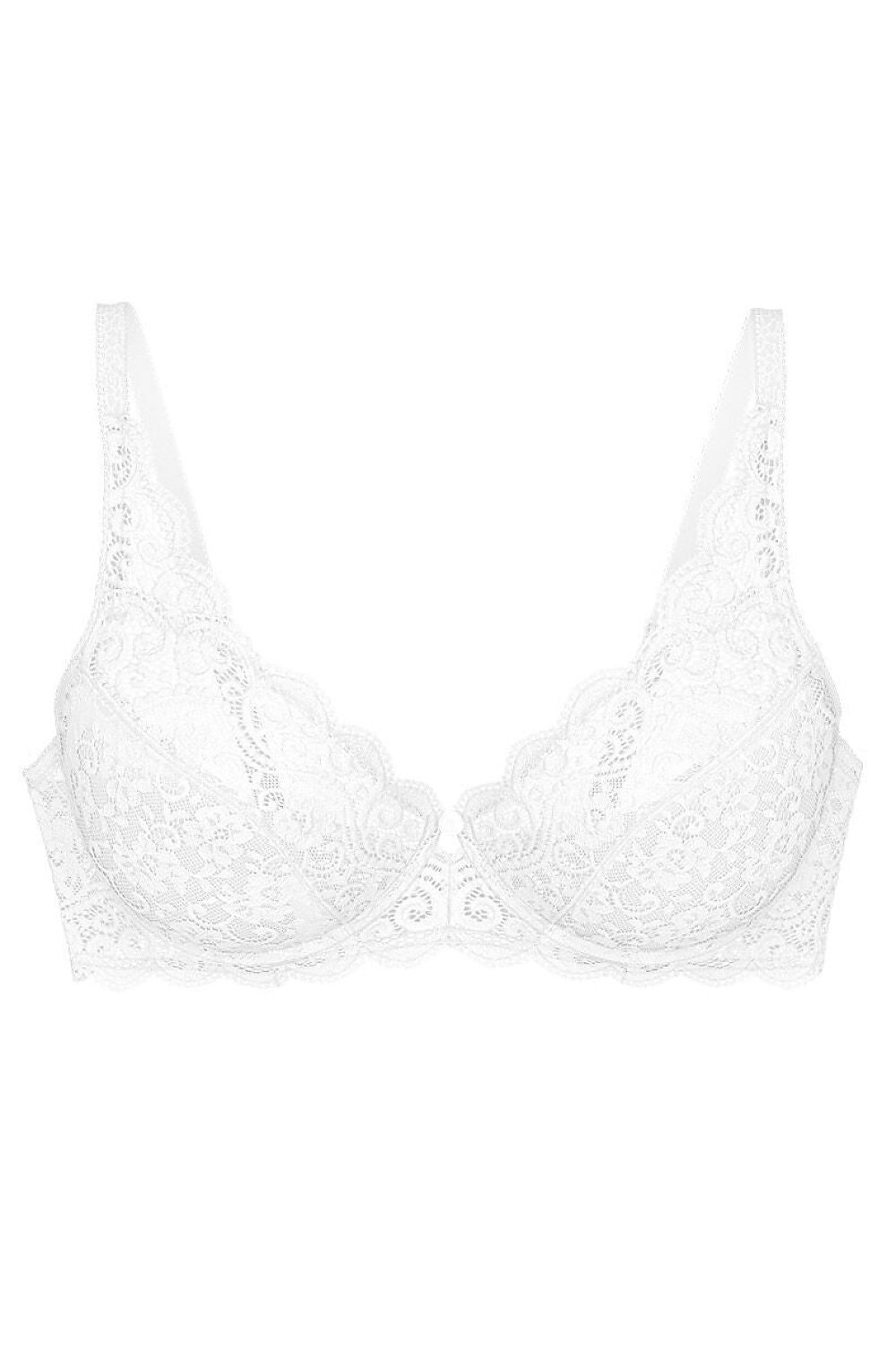 Soft model 229109 Triumph