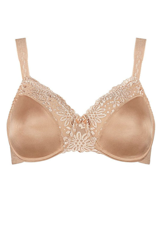 Soft model 229359 Triumph