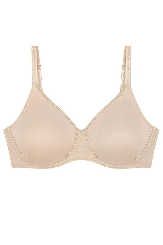 Soft model 229362 Triumph