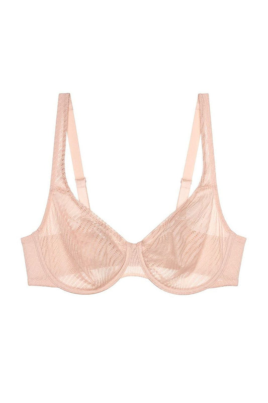 Soft model 229367 Triumph