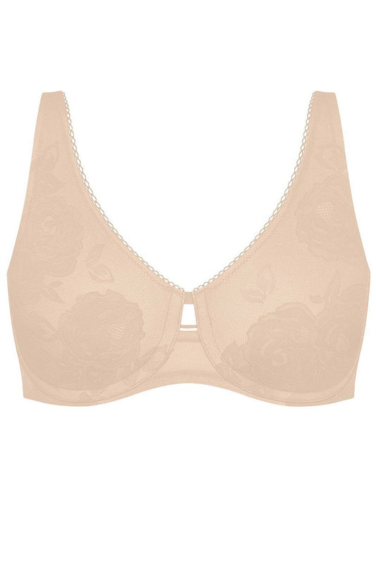 Soft model 229497 Triumph
