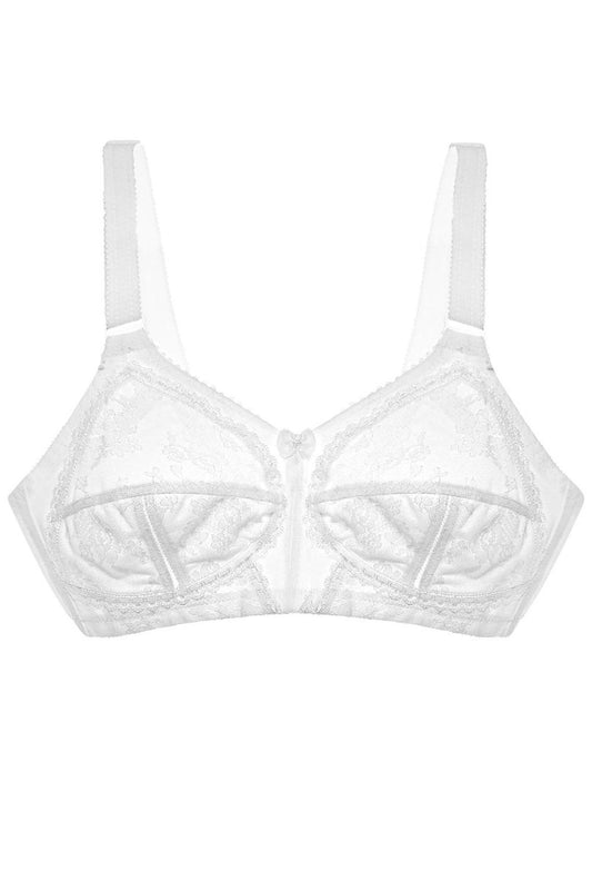 Soft model 229860 Triumph
