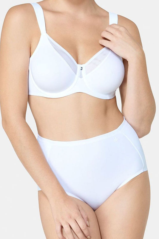 Soft model 229984 Triumph