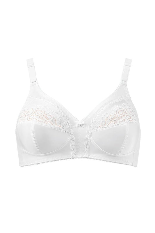 Soft model 229987 Triumph