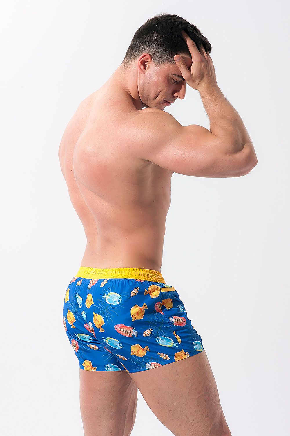 Badehose model 146247 Alpha Male