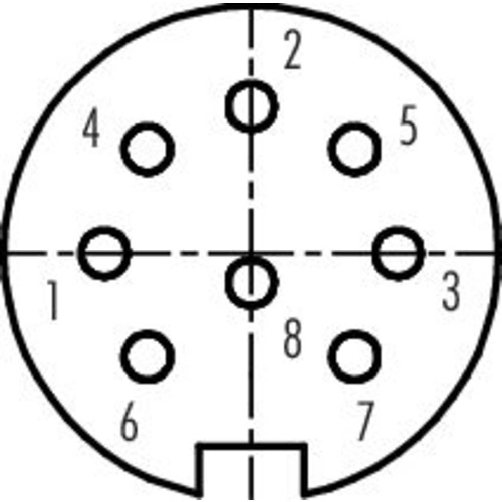 B-flokks bindiefni 99 5672 19 08 20 Kapalinnstunga, bein, 20 stykki