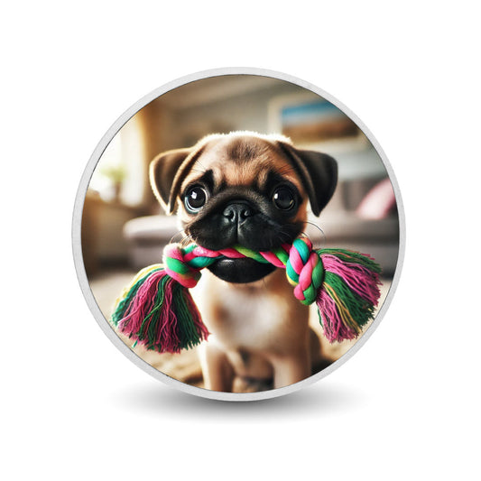 Playtime Pug 1oz Silver Coloured Coin