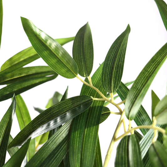 B-flokks Hjh Office Bamboo II gerviplanta, gervitré, gervigróður, 150 cm