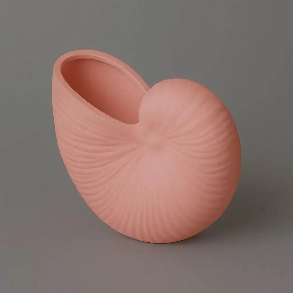 Nautilusmuschel – maritime Deko mit Urlaubsflair für dein Zuhause