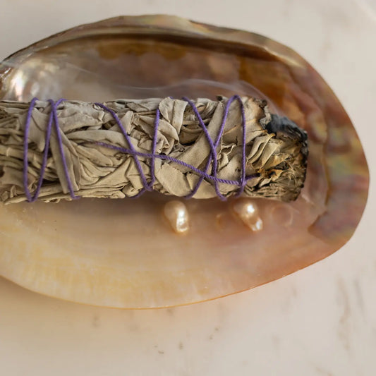 Hvítur salvíuknúttur