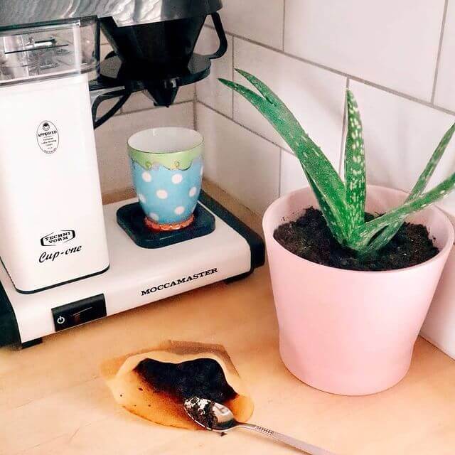 Moccamaster Technivorm Cup-One – Nákvæm einnota kaffivél