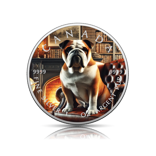 2025 Canada 1oz 9999 Silver BU The Chamber Guardian Colourized