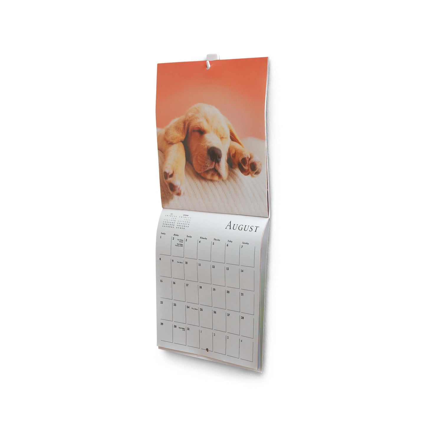 Command™ Mini-Haken, 17066 | Packung (1 Stück)