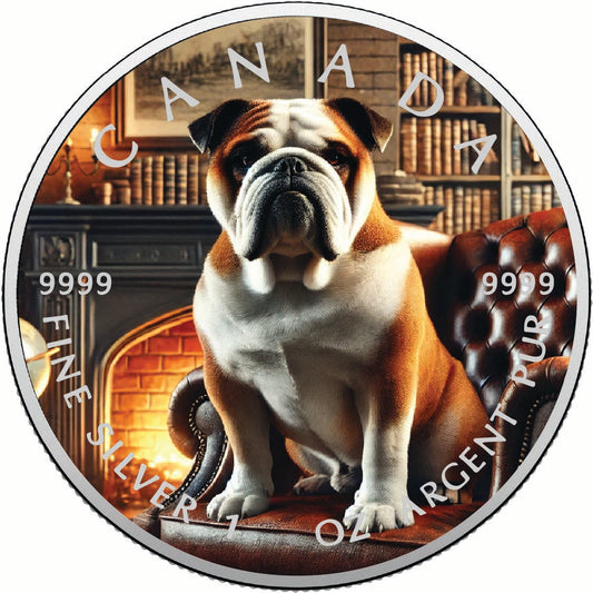 2025 Canada 1oz 9999 Silver BU The Chamber Guardian Colourized