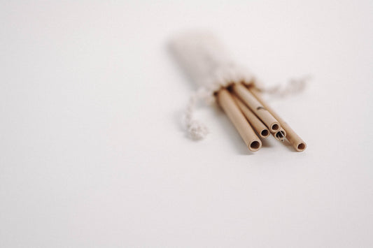 Bamboo Straws - JustStraws - Pack of 5