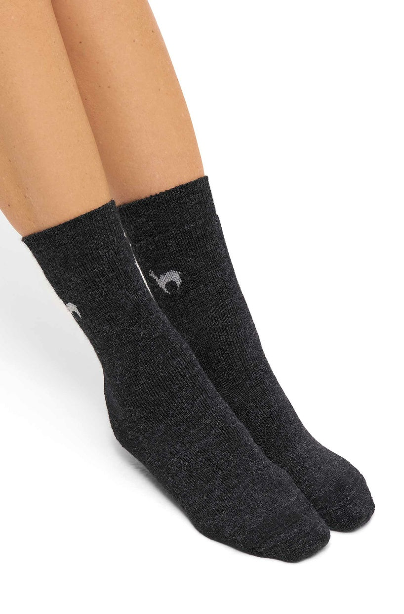 Apu Kuntur - Alpaca trekking socks – alpaca wool mix