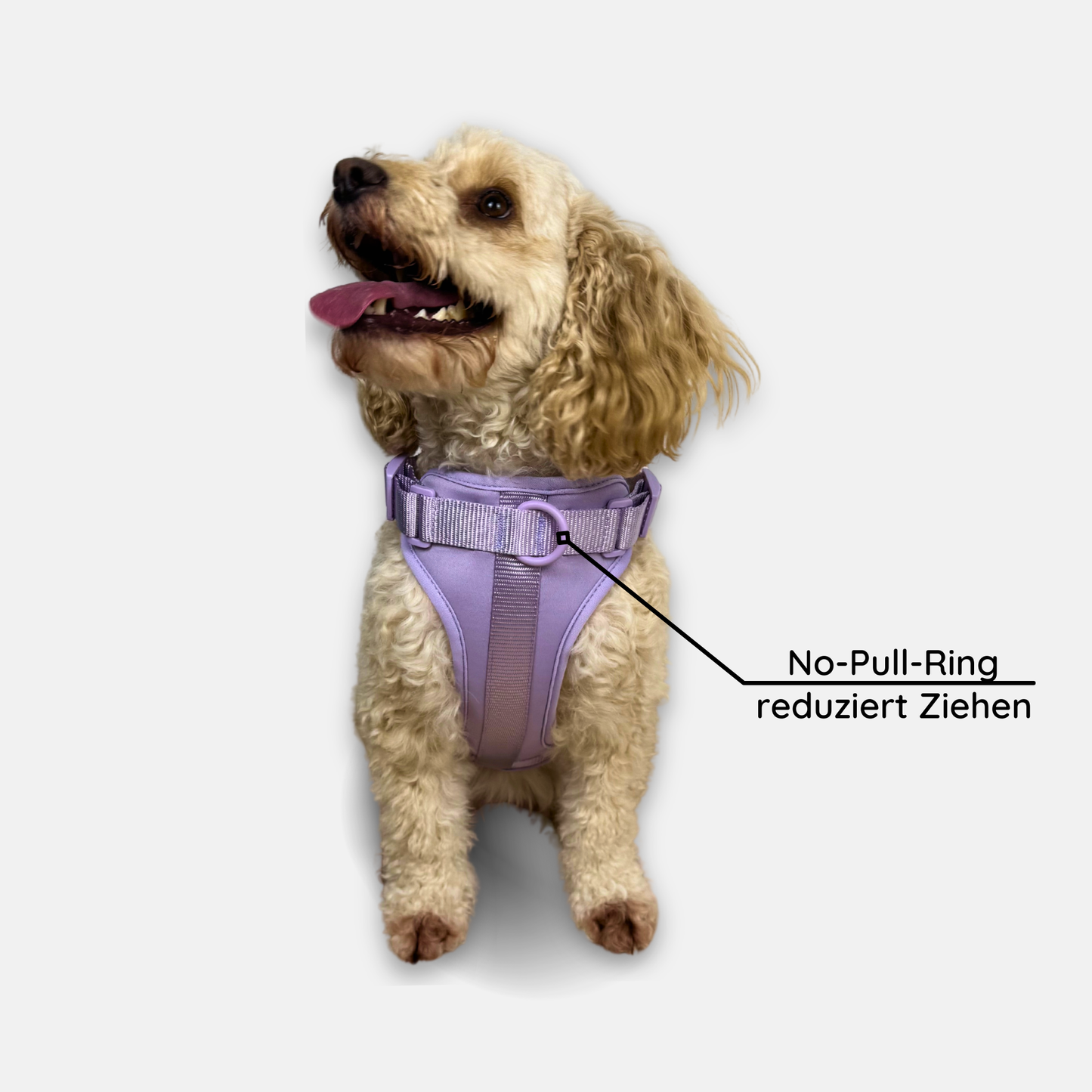 No-Pull Set Pura