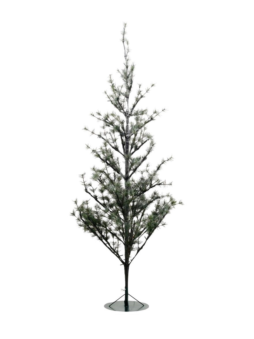 Weihnachtsbaum natur