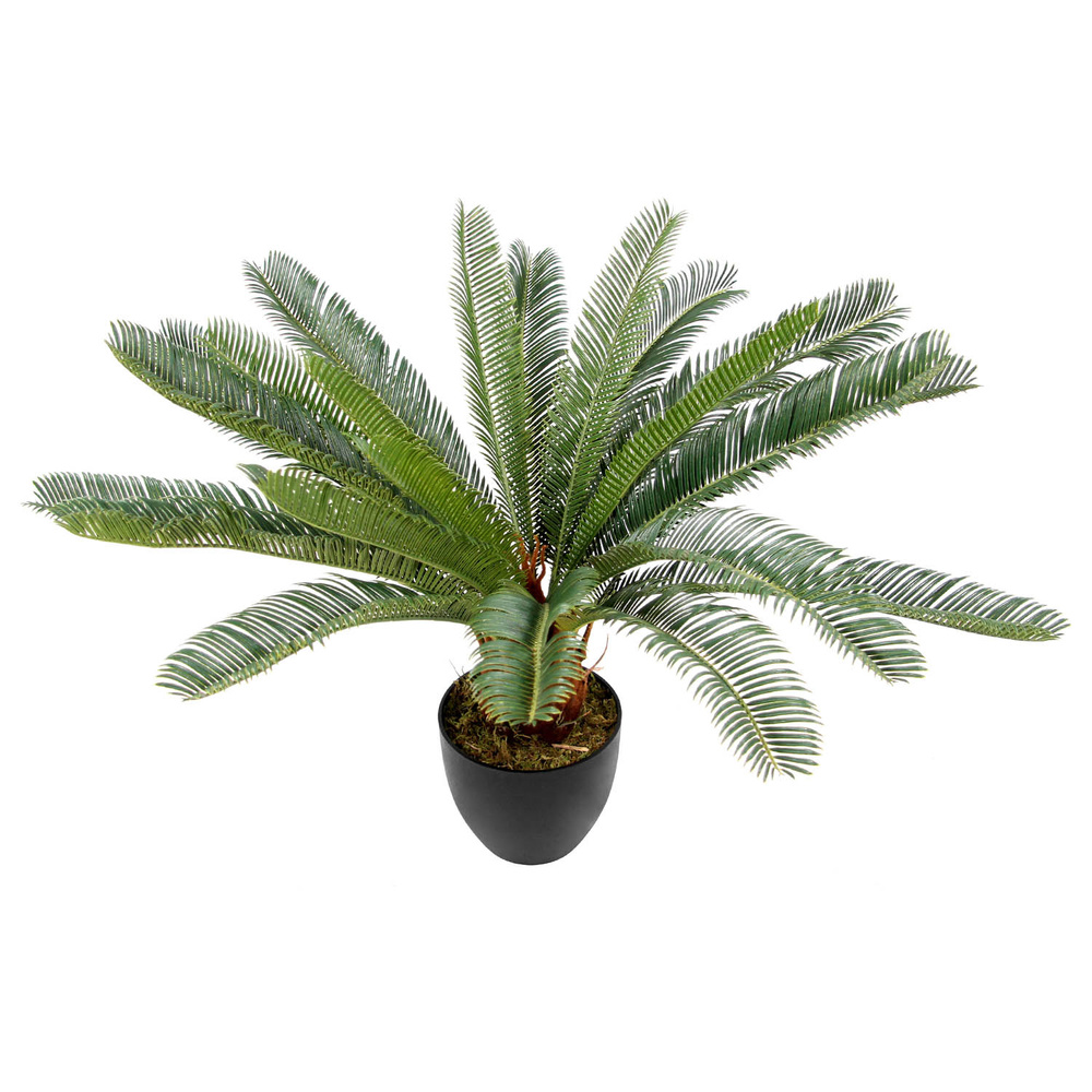 B-Ware Hjh Office Kunstpflanze Kunstpalme Cycas Kunst Pflanze Palme Kunststoff Grün