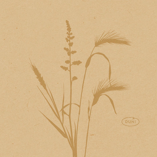 Bio-Dunisoft-Serv. 20x20cm