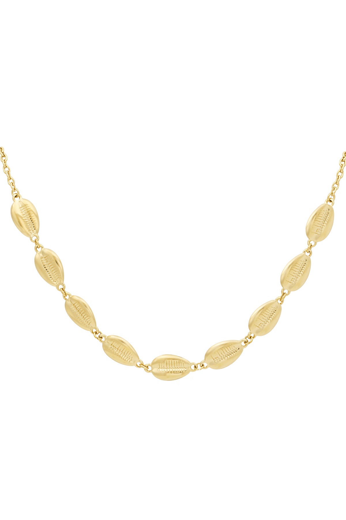 Muschel-Überdosis-Halskette – Goldfarben