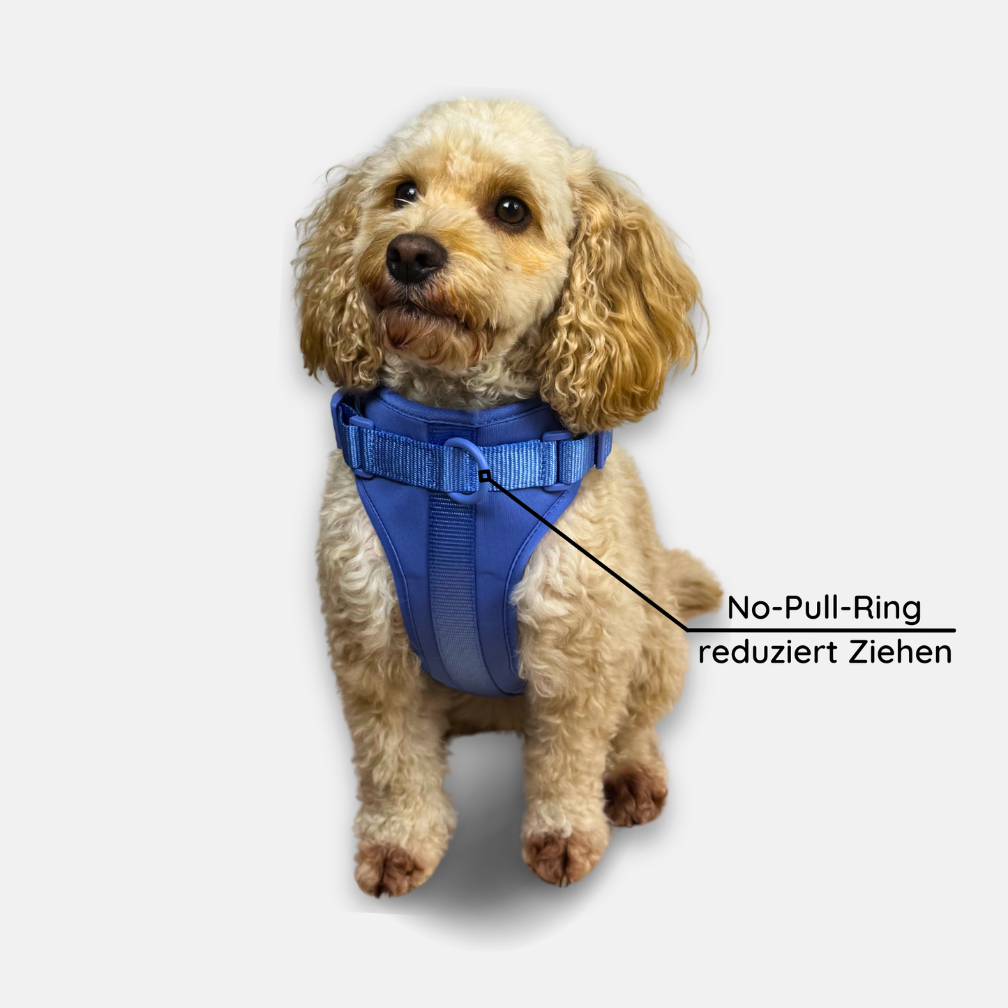 No-Pull Set Pura