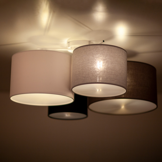 B-grade Euluna Lodge ceiling light, multicolour ceiling lamp, light, spotlight