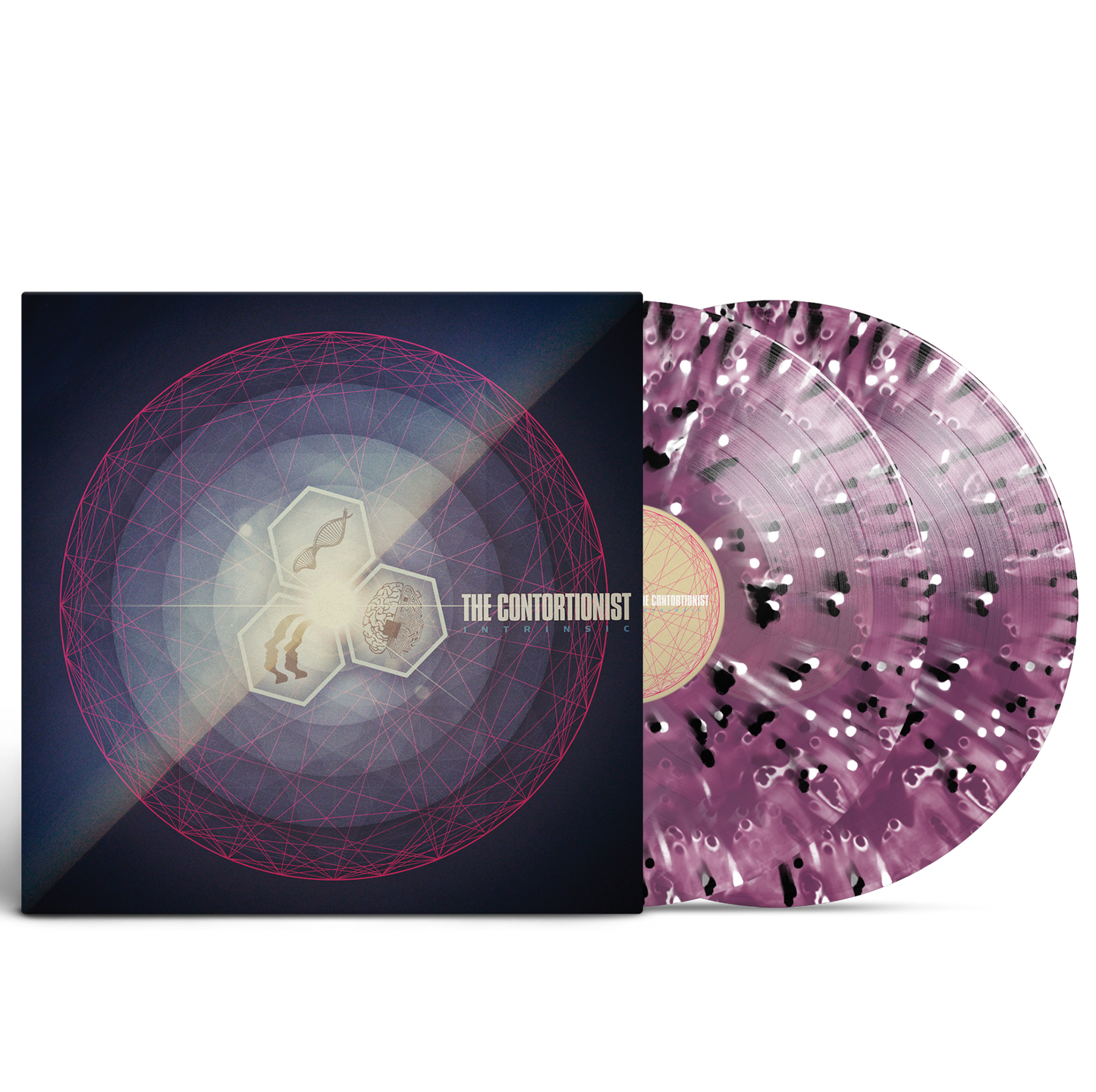 The Contortionist - Intrinsic Grape Ghost Splatter Vinyl