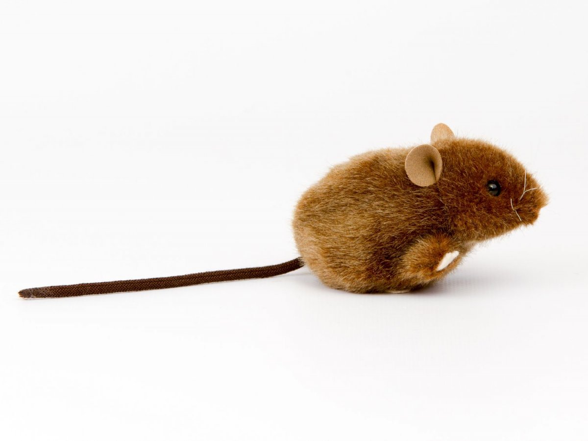 Kösener -MAUS braun