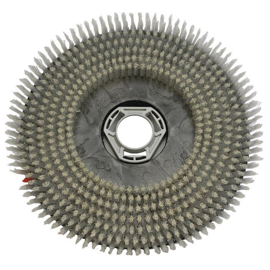 Scheuerbürste Standard (38 cm), für swingo XP R, Standardscheuerbürste | Packung (1 Stück)