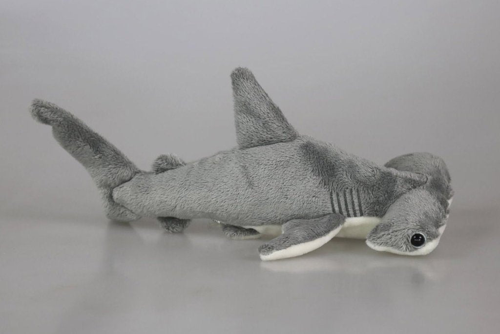 Hammerhai grau ca. 23 cm