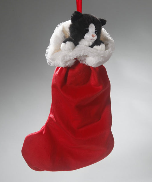 Katze im Weihnachtsstrumpf