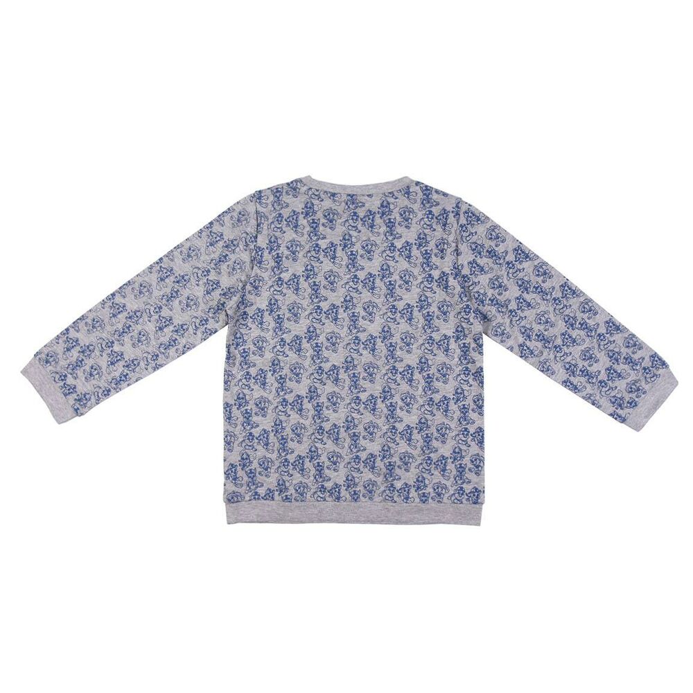 Paw Patrol Kinder-Trainingsanzug in Grau