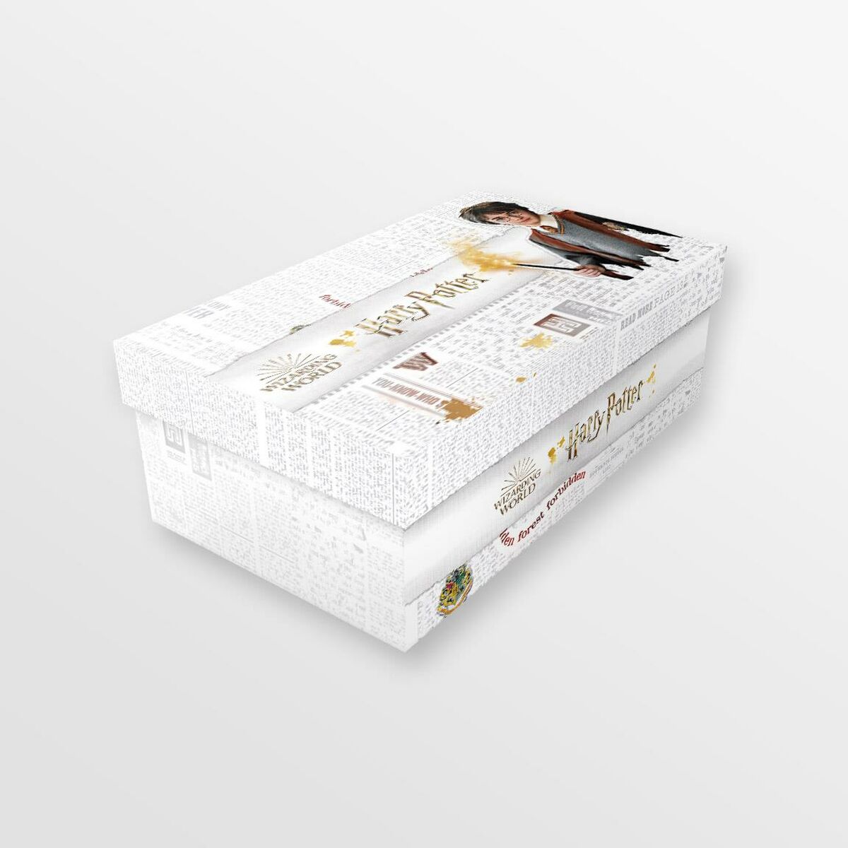 Magical Harry Potter children's sports shoes in elegant grey